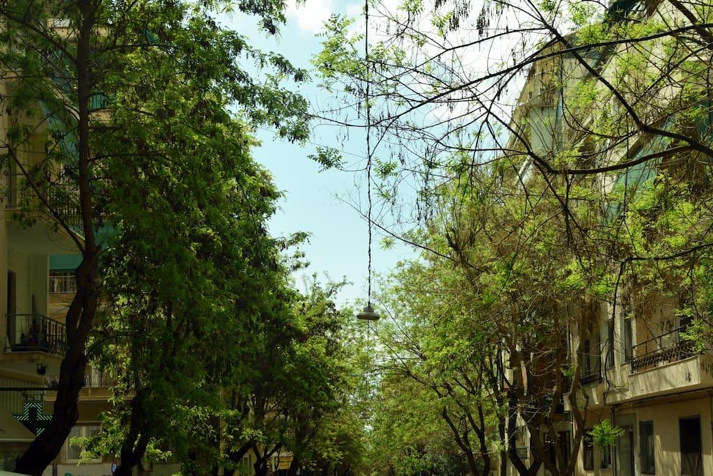 蓝色和红色公寓 雅典 外观 照片